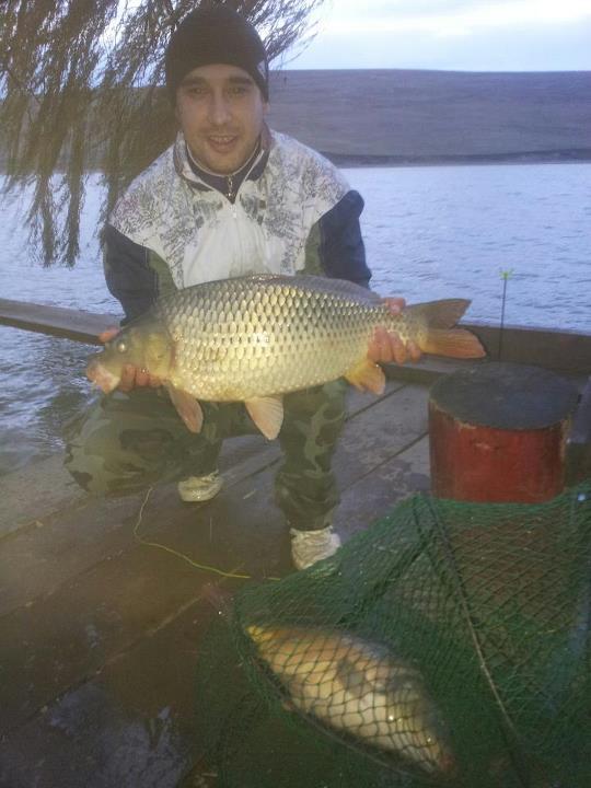 i fish - 3962613003336400792291196674586n.jpeg